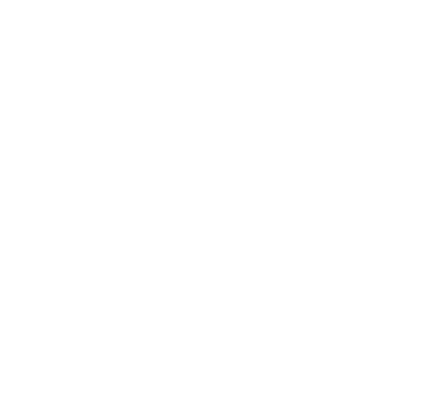 Marca Austral